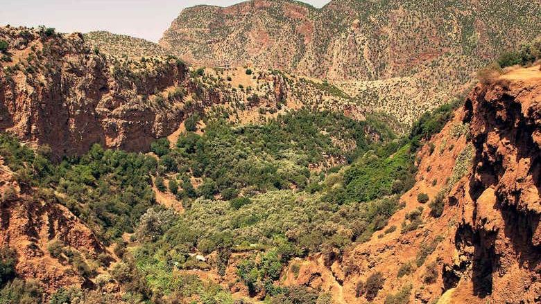 Ouzoud Waterfalls Day Trip from Marrakech with English-Speaking Guide, Azilal Province (3/6)