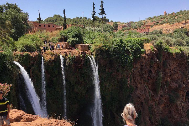 Ouzoud Falls Minibus Day Tour: Olive Groves, Gorge Descent and Optional Swim (2/12)