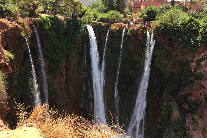 Ouzoud Falls Minibus Day Tour: Olive Groves, Gorge Descent and Optional Swim (3/12)