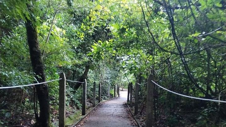 Pailas Trail or La Cangreja Waterfall Hike in Rincon de la Vieja National Park (3/12)