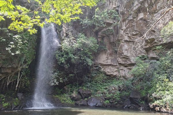 Pailas Trail or La Cangreja Waterfall Hike in Rincon de la Vieja National Park