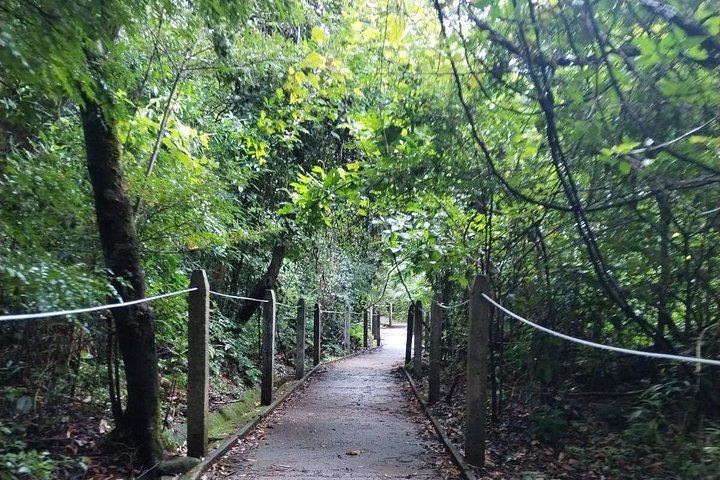 Pailas Trail or La Cangreja Waterfall Hike in Rincon de la Vieja National Park (3/12)