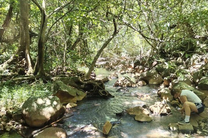 Pailas Trail or La Cangreja Waterfall Hike in Rincon de la Vieja National Park (11/12)