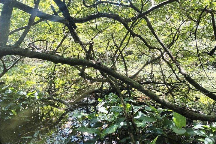 Pailas Trail or La Cangreja Waterfall Hike in Rincon de la Vieja National Park (9/12)