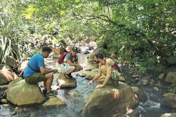 Pailas Trail or La Cangreja Waterfall Hike in Rincon de la Vieja National Park (12/12)