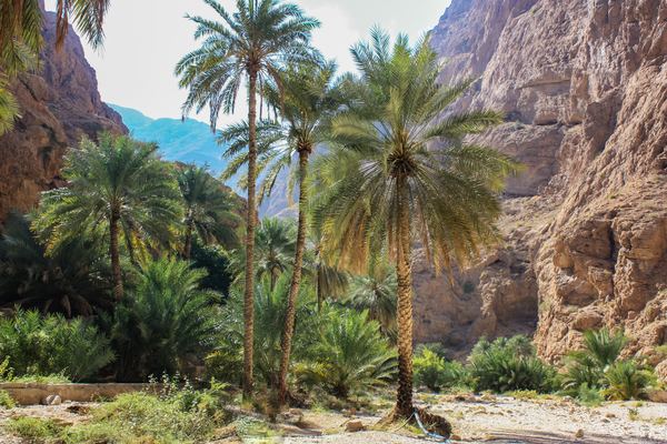 Oman