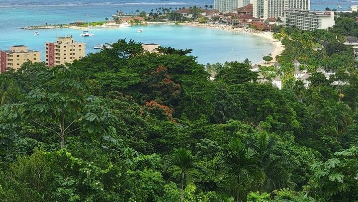Private Dunn's River Falls Climb with Ocho Rios Sightseeing and Shopping (4/12)
