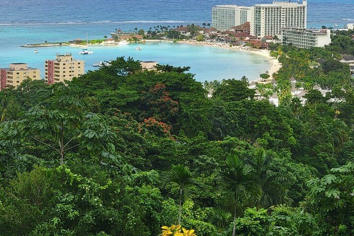 Private Dunn's River Falls Climb with Ocho Rios Sightseeing and Shopping (4/12)