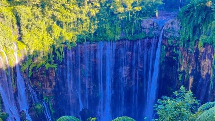 Three-Day Surabaya Tour to Tumpak Sewu, Bromo and Ijen with Bali Ferry Ticket (2/5)