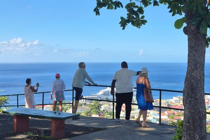 Two-Hour Scenic Drive to Trafalgar Falls and Sulphur Springs with Autop Tours (12/12)