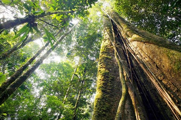 Kings Gardens Maui: Mini Waterfall Hike, Organic Chocolate Tasting and Ancient Sites