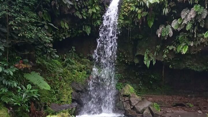 Pepper's Choice Dominica: Emerald Pool, Trafalgar Falls, Mero Beach, Ti Kwen Glo Cho (2/12)