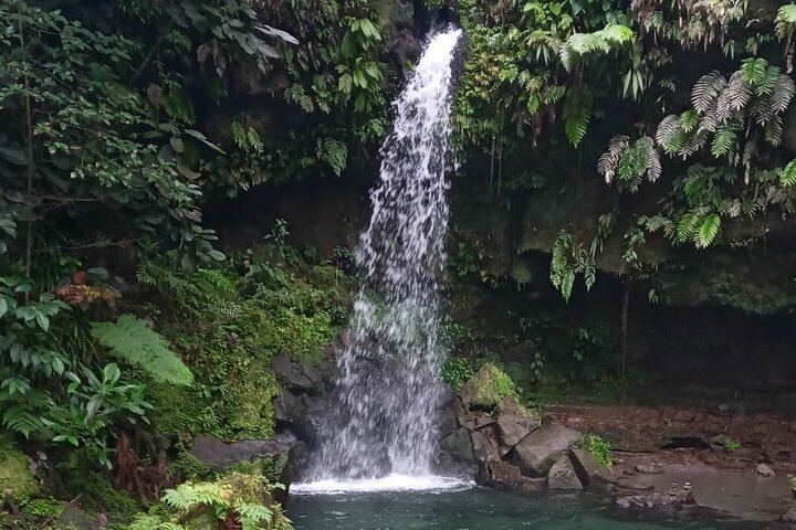 Pepper's Choice Dominica: Emerald Pool, Trafalgar Falls, Mero Beach, Ti Kwen Glo Cho (2/12)