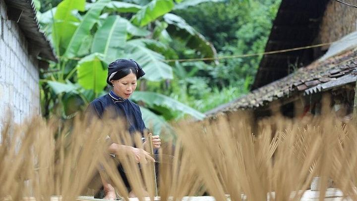 Ban Gioc Waterfall and Ba Be Lake 3-Day Tour with Nung and Tay Homestays (4/12)