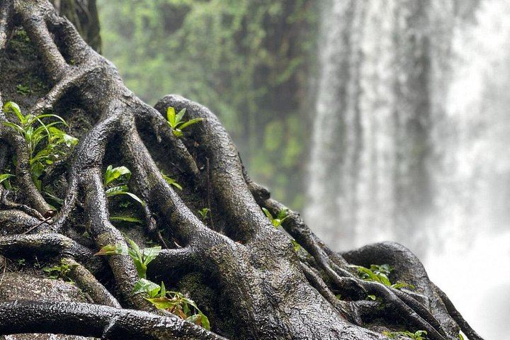 Phnom Kulen Waterfall and 1000 Lingas Day Tour with Snacks, Fresh Fruit and Village Stop (10/12)