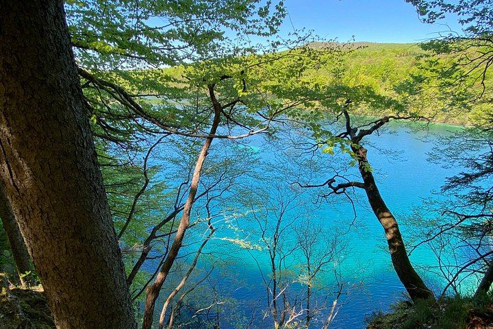 Plitvice Lakes Private Tour with Licensed Driver-Guide in a Blue Van from Zadar (5/8)