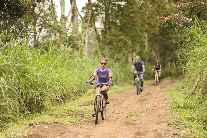 Haunted Valley Waterfall Tour by Finn Komodo Buggy and Mountain Bike, Munduk (5/8)