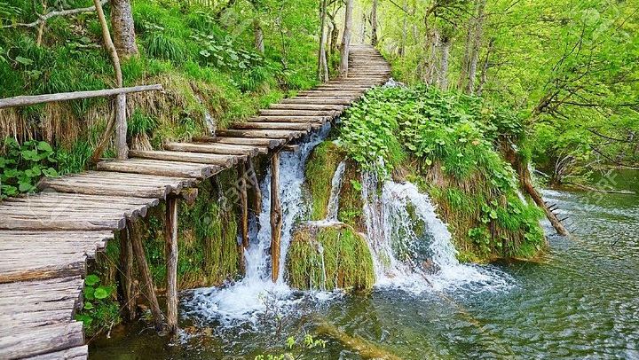 Plitvice Lakes Group Day Tour from Zadar with Jadera Booking Agency, Bus for up to 50 (1/6)