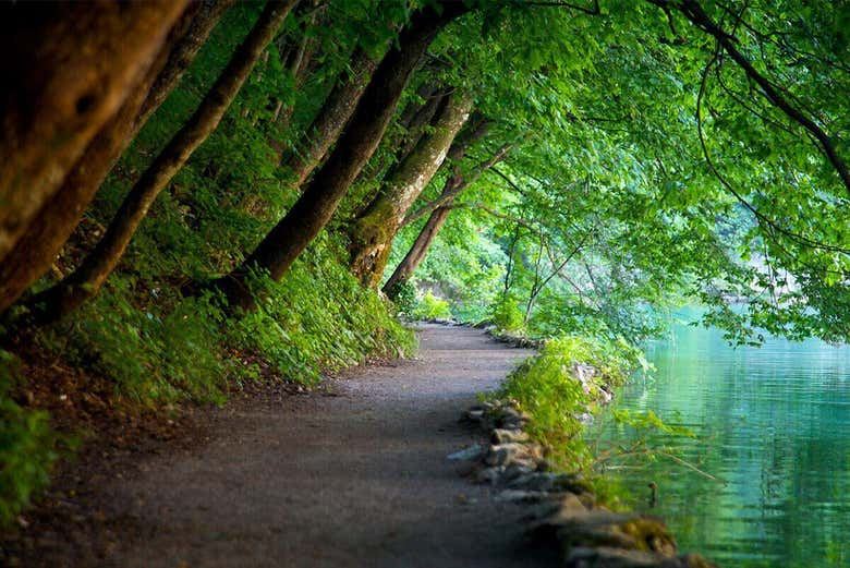 Plitvice Lakes Day Trip from Zagreb with Rastoke Stop and Park Entry (6/7)