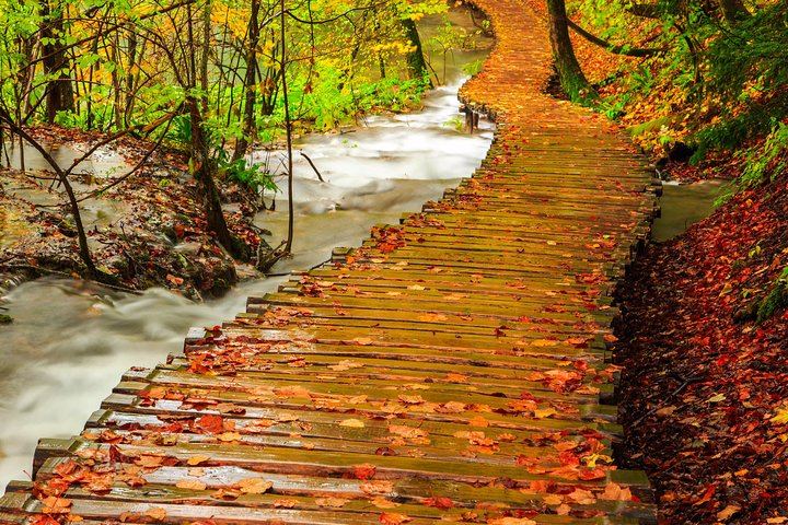 Plitvice Lakes Guided Day Tour from Zagreb with Boat and Electric Train Rides (7/10)