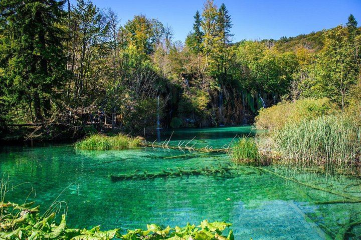 Plitvice Lakes Four-Hour Guided Park Tour with Boat and Train from Zagreb (7/8)