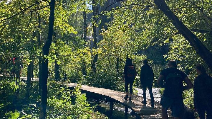Plitvice Lakes 12-Hour Guided Day Tour from Split with Upper Lakes Hike (4/12)