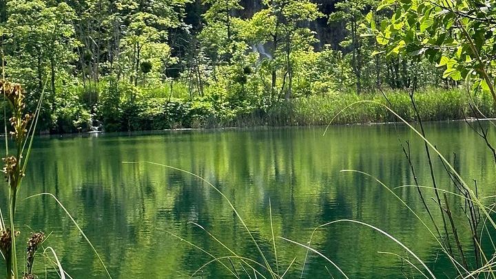Tailor-Made Plitvice Lakes Private Tour from Split via Skradin and Veliki Slap (2/12)