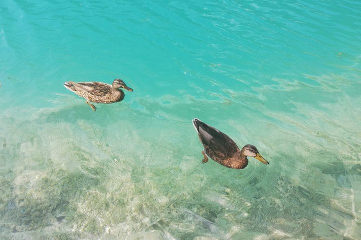 Private Plitvice Lakes Day Tour from Zagreb with Licensed Guide and Rastoke Stop (5/12)