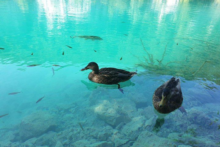 Private Plitvice Lakes Day Tour from Zagreb with Licensed Guide and Rastoke Stop (9/12)
