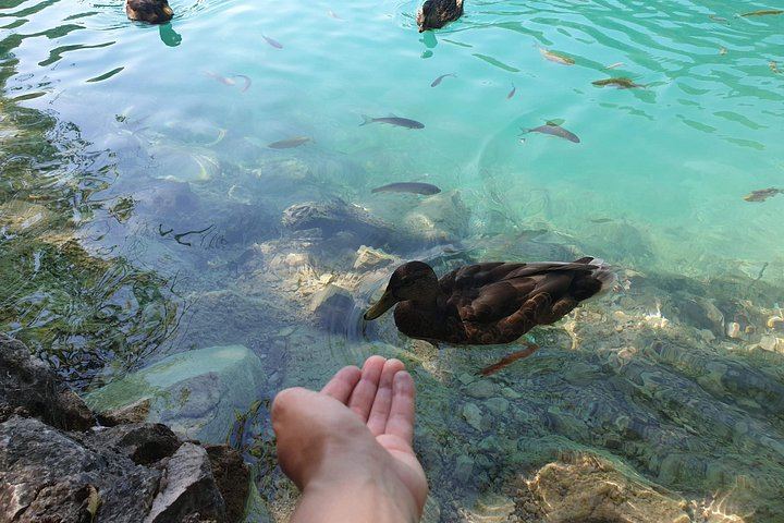 Private Plitvice Lakes Day Tour from Zagreb with Licensed Guide and Rastoke Stop (11/12)