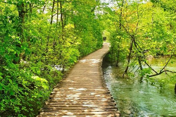 Private Plitvice Lakes Day Tour from Zagreb with Licensed Guide and Rastoke Stop