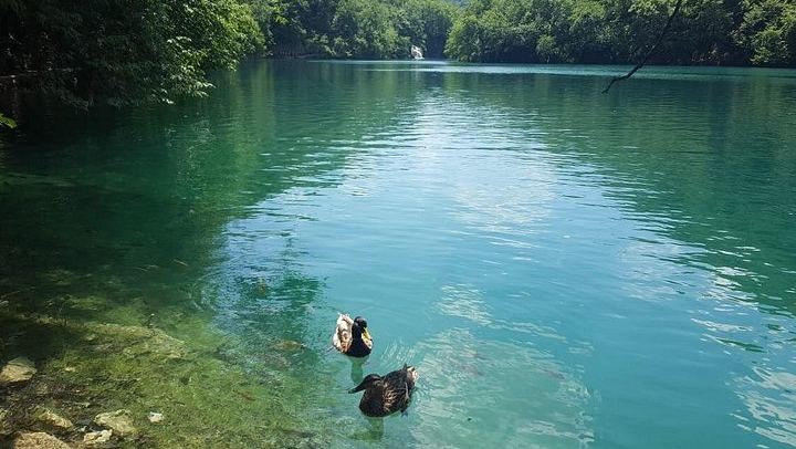 Plitvice Lakes Small Group Tour from Split or Trogir via Knin and Korenica (4/12)