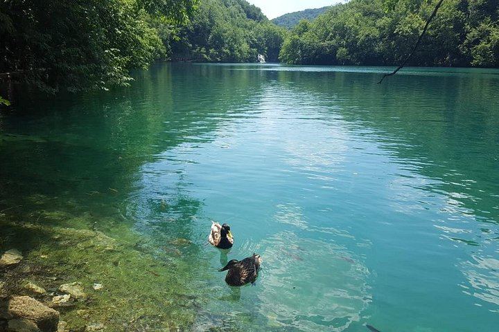 Plitvice Lakes Small Group Tour from Split or Trogir via Knin and Korenica (4/12)
