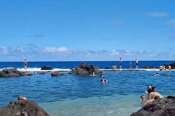Small-Group West Madeira Tour: Porto Moniz Pools, Fanal Forest and Bridal Veil