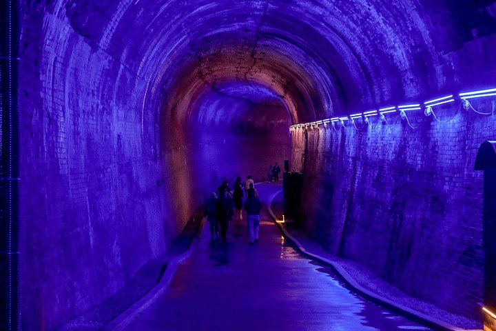 Niagara Falls Small Group Night Tour with Power Station Tunnel, Dinner and Tower (3/12)