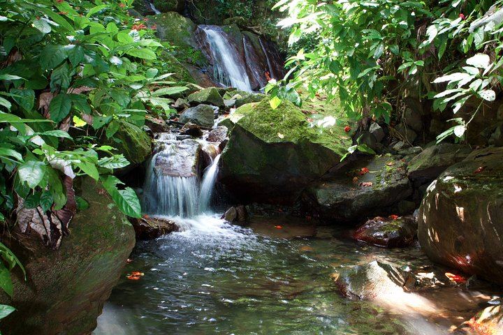 El Salto Waterfall Rappelling and Zipline Day Trip in Carite State Forest (6/6)