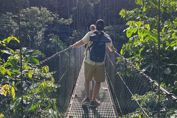 Private Mistico Bridges, Arenal 1968 Lava Trails, Rio Fortuna Waterfall and Hot Springs