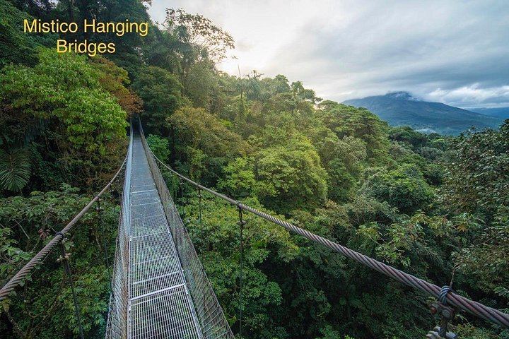 Private Mistico Bridges, Arenal 1968 Lava Trails, Rio Fortuna Waterfall and Hot Springs (1/12)