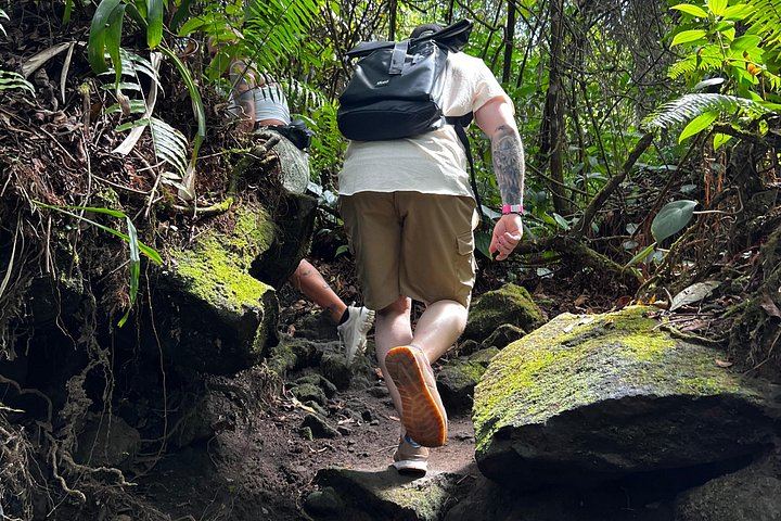 Private Mistico Bridges, Arenal 1968 Lava Trails, Rio Fortuna Waterfall and Hot Springs (11/12)