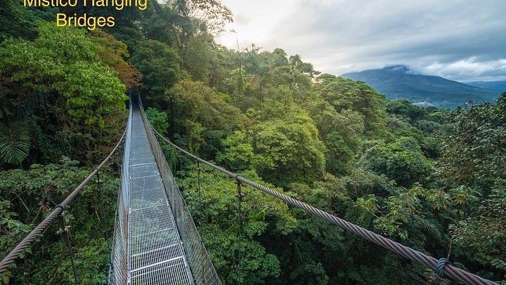 Private Mistico Bridges, Arenal 1968 Lava Trails, Rio Fortuna Waterfall and Hot Springs (1/12)