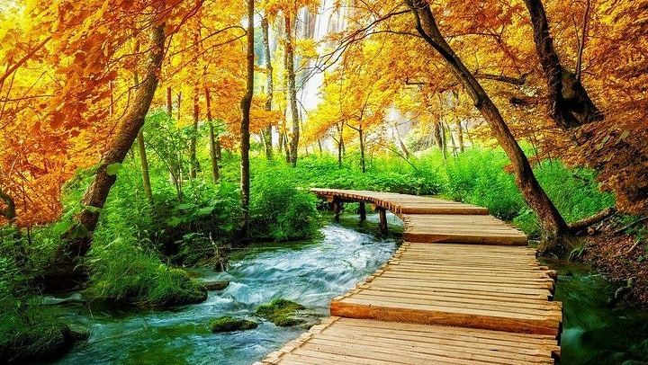 Plitvice Lakes Day Trip from Split with Local Lunch After the Walk (2/12)