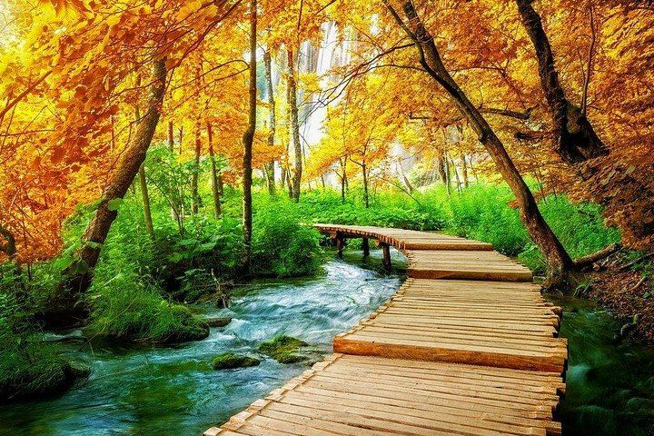 Plitvice Lakes Day Trip from Split with Local Lunch After the Walk (2/12)