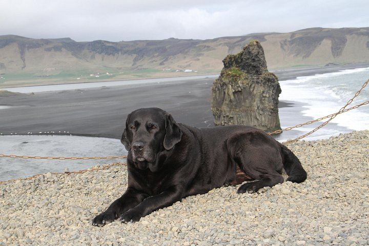 Mercury Grail Private 10-Hour South Coast Day Trip from Reykjavik (5/5)