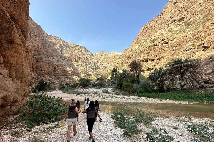 Private Wadi Shab Day Trip: Crevice Cave Waterfall Swim, Fins Beach, Bimmah Sinkhole (4/12)
