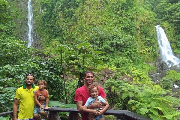 Private Minibus Tour in Dominica: Trafalgar Falls, Ti Tou Gorge, Lunch, Rum Punch