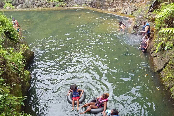 Private Minibus Tour in Dominica: Trafalgar Falls, Ti Tou Gorge, Lunch, Rum Punch (1/6)
