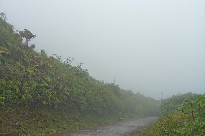 Private Minibus Tour in Dominica: Trafalgar Falls, Ti Tou Gorge, Lunch, Rum Punch (4/6)