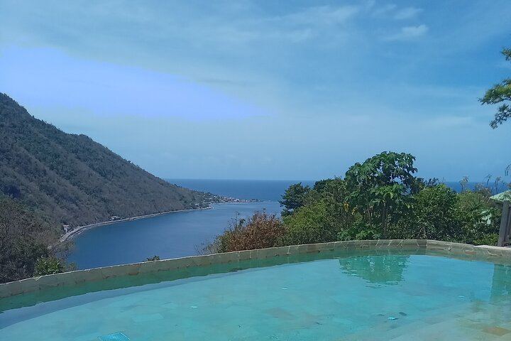 Private Minibus Tour in Dominica: Trafalgar Falls, Ti Tou Gorge, Lunch, Rum Punch (2/6)