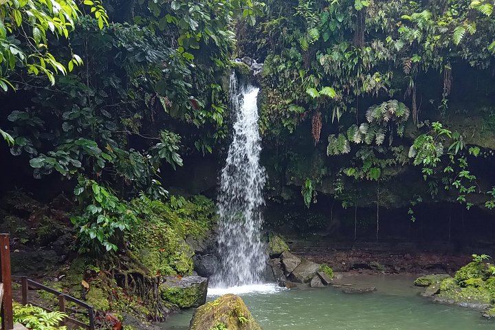 Private Minibus Tour in Dominica: Trafalgar Falls, Ti Tou Gorge, Lunch, Rum Punch (6/6)