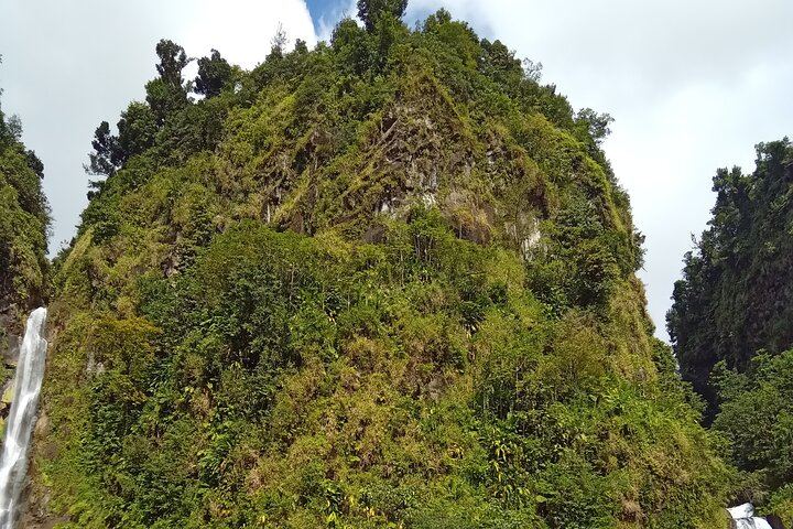 Private Minibus Tour in Dominica: Trafalgar Falls, Ti Tou Gorge, Lunch, Rum Punch (3/6)